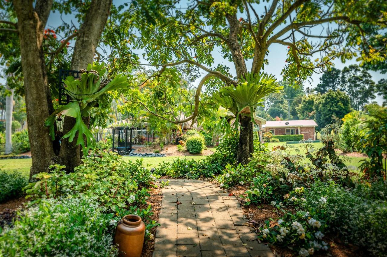 Alarks Nest Bed And Breakfast Boambee Extérieur photo