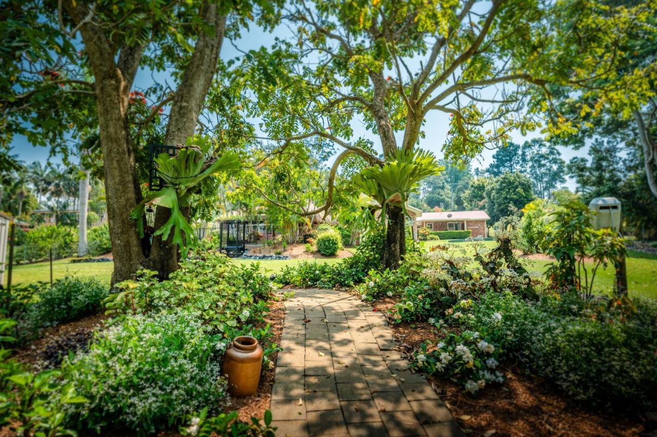 Alarks Nest Bed And Breakfast Boambee Extérieur photo