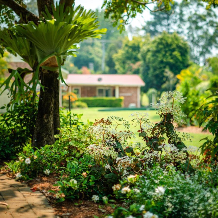 Alarks Nest Bed And Breakfast Boambee Extérieur photo